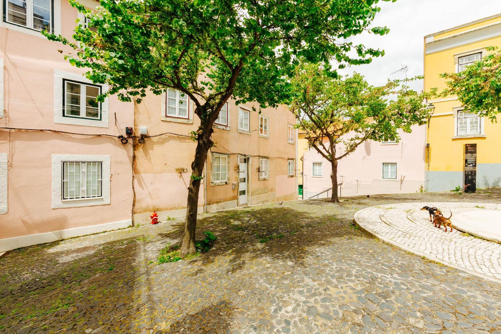 Rent4Rest Lisbon Downtown Tiny Studio Apartments Экстерьер фото